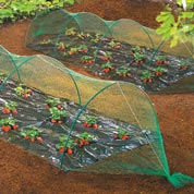 Filet anti oiseaux pour potager - 2 x 5 mtres